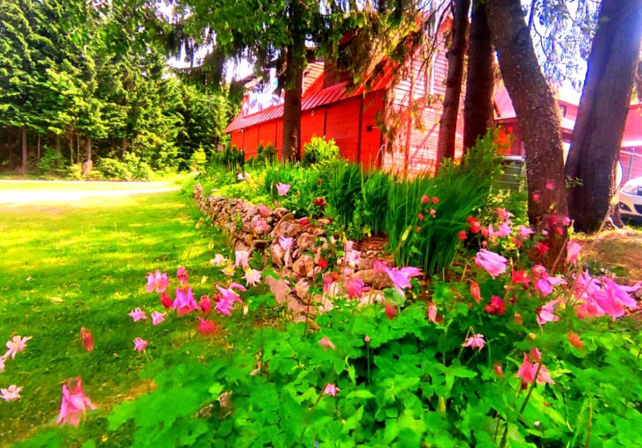 Graniczna Bombaj Jakuszyce Bed & Breakfast